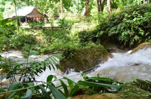 Explore waterfalls in Luang Prabang 