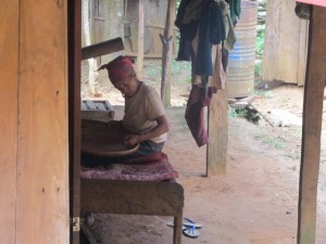 Home stay, Laos project Tiger Trail 