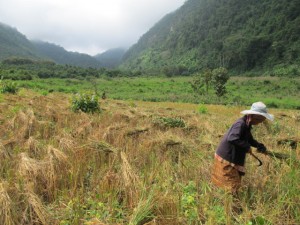 Eco bungalow, Home stay in Laos, Tiger Trail 