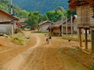 Goat in Nongkhuay at Homestay Village in Laos