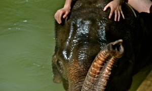 Luang Prabang Laos Bike Tour 