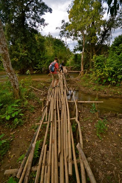 Laos Trekking Bamboo Bridge