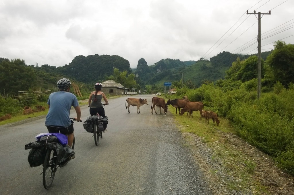 laos-bicycle-tour-luang-prabang-vang-vieng-tiger-trail-693