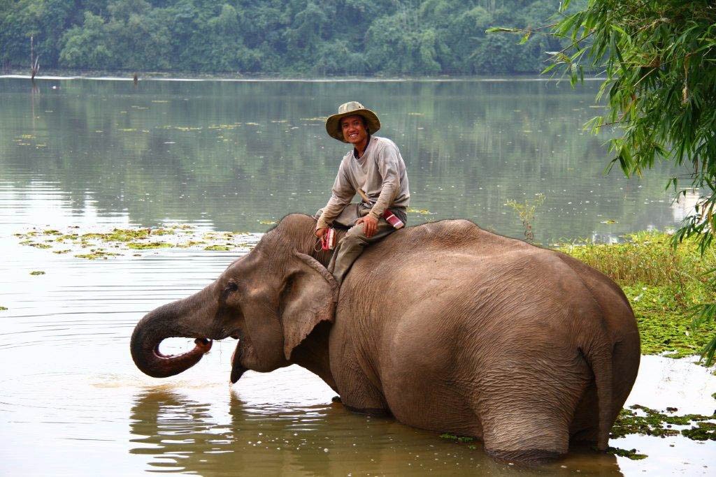 Celebrating elephants in Laos • EXPLORE LAOS