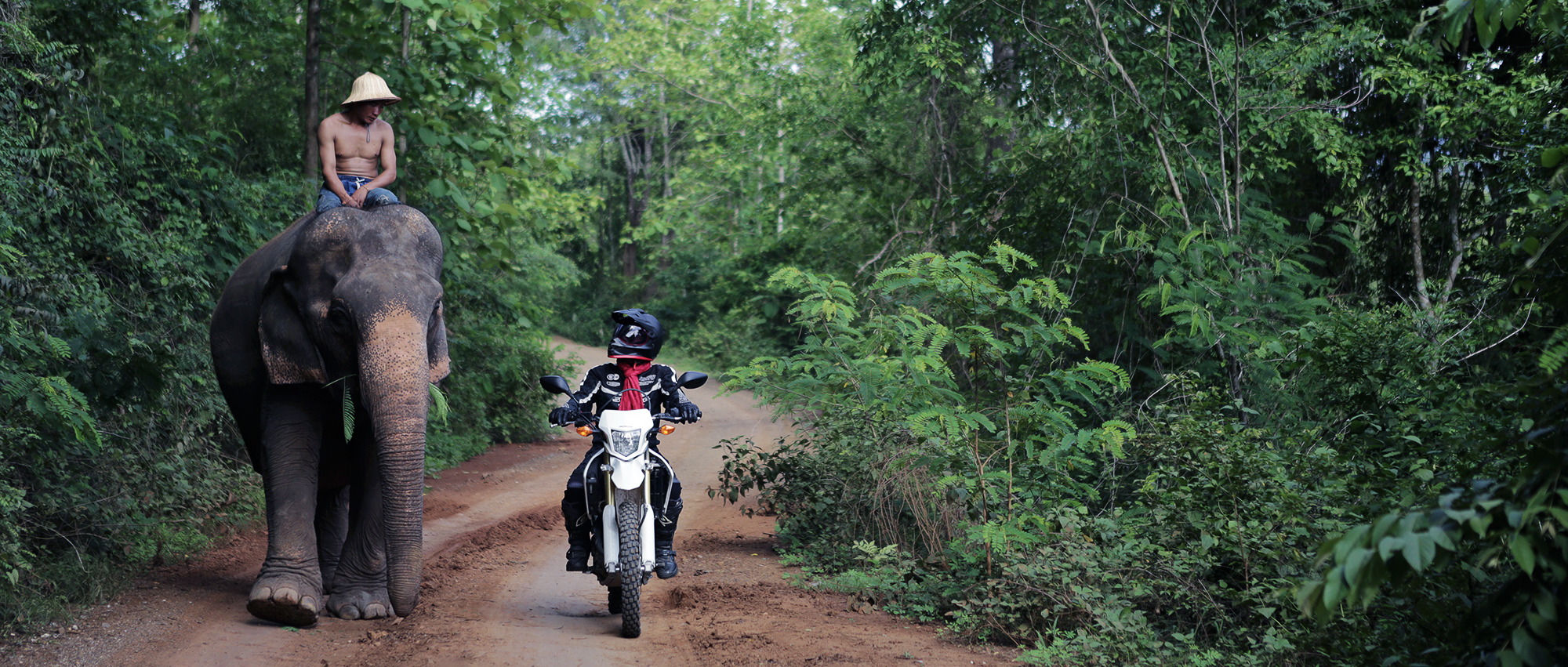 motorbike tours to laos