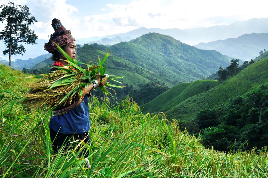 akha, experience, north, laos, northern, lao pdr, village, ethnic, group, phongsali, muang khua