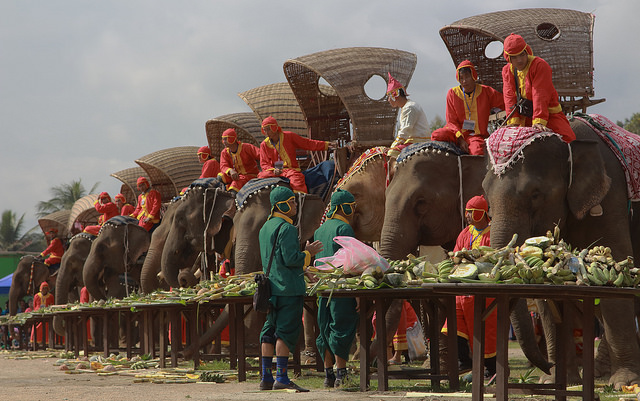 Elephant Caravan Luang Prabang Elephant Baci