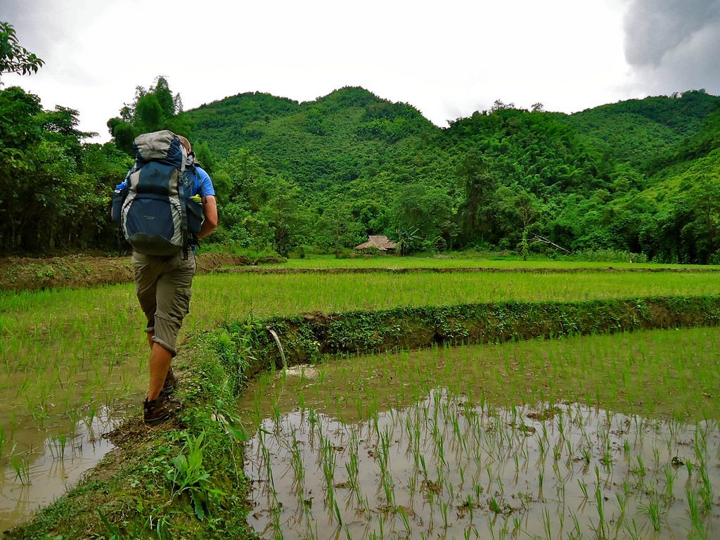 laos-trekking-rice-paddy-fair-trek-tiger-trail