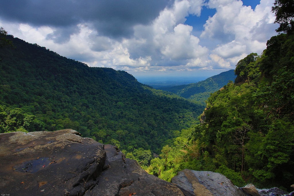 laos-bolaven-plateau-treetop-explorer-tiger-trail